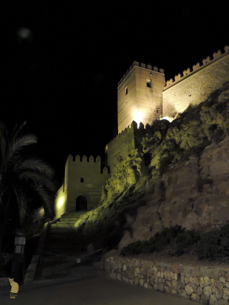 Amanecer en la Alcazaba 2017 1